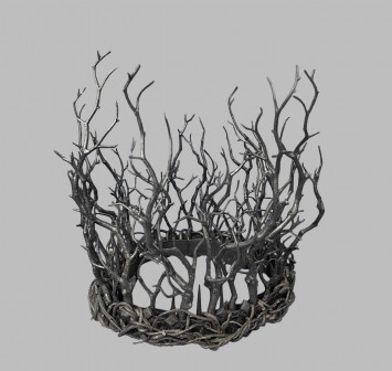 Корона Корни